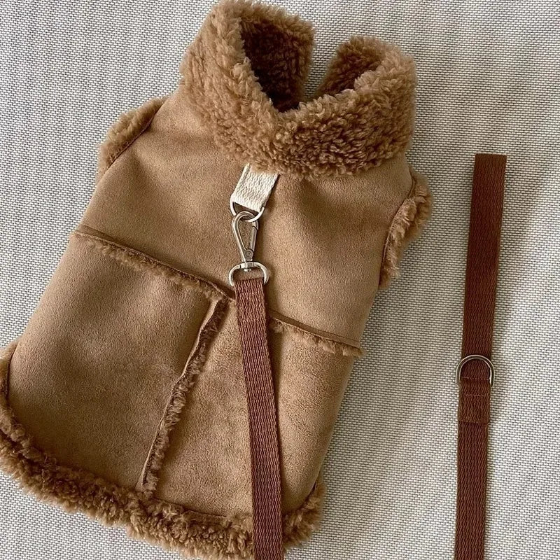 Pull chaud pour petit chien