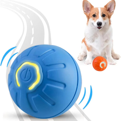 Balle électrique à gravité rebondissante pour chat et chien - MioumiouShop