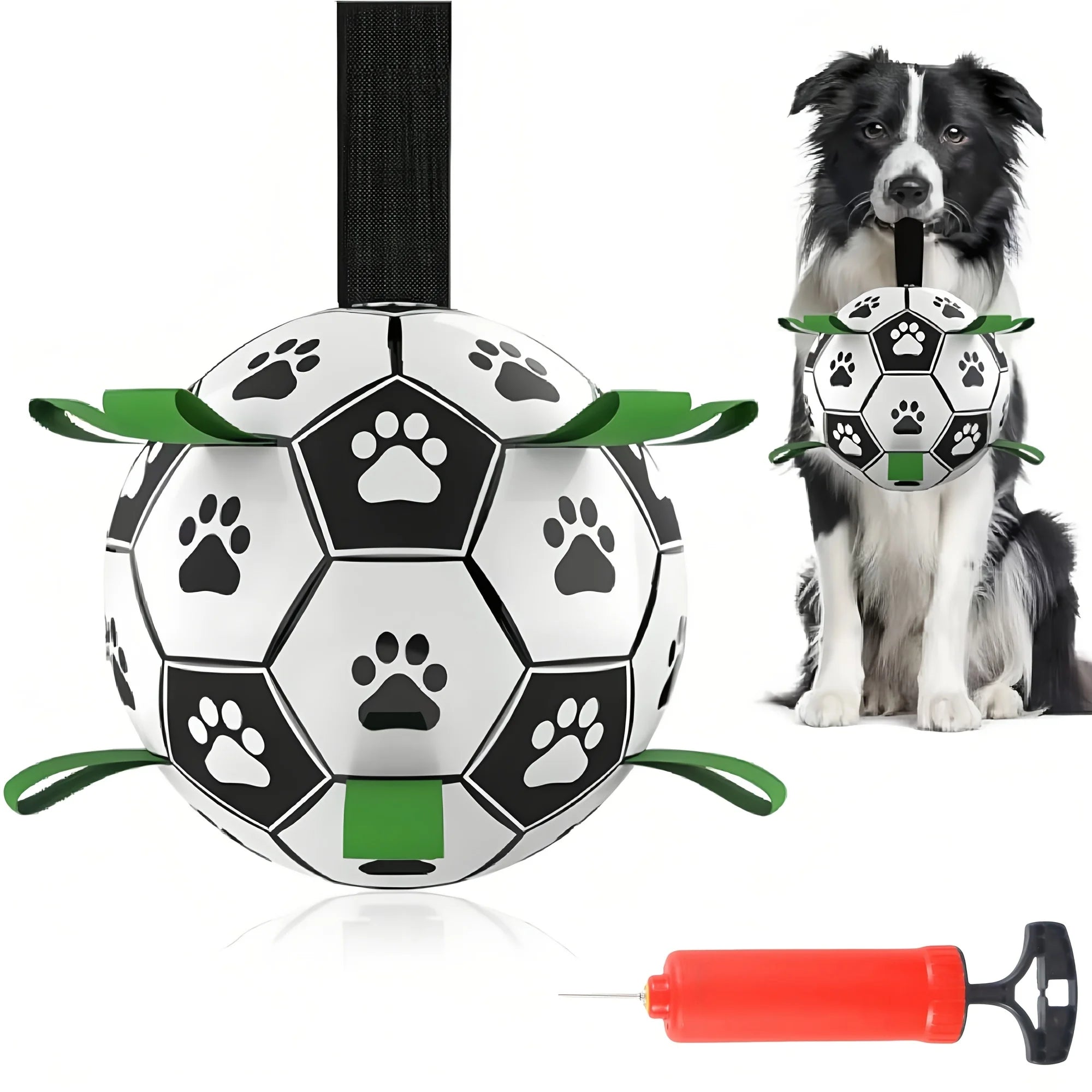 Ballon interactif pour chien