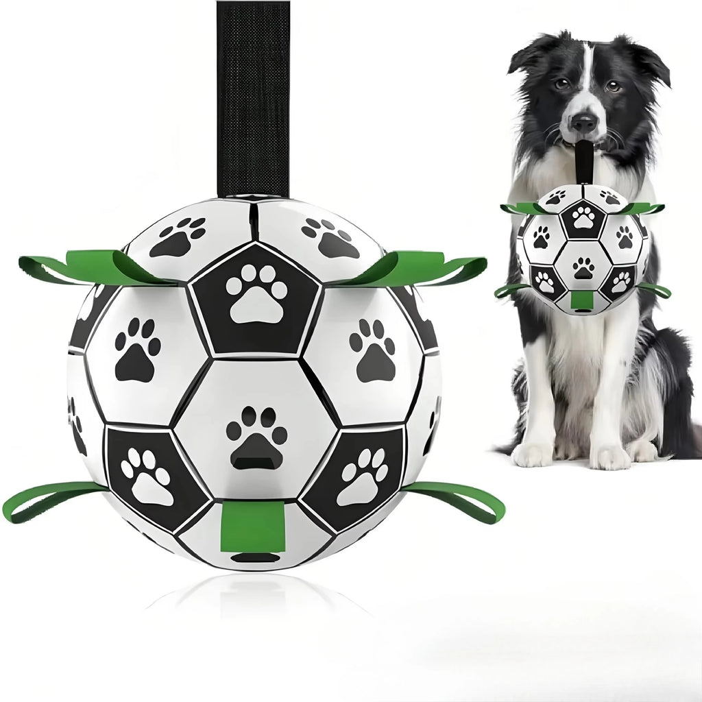 Ballon interactif pour chien