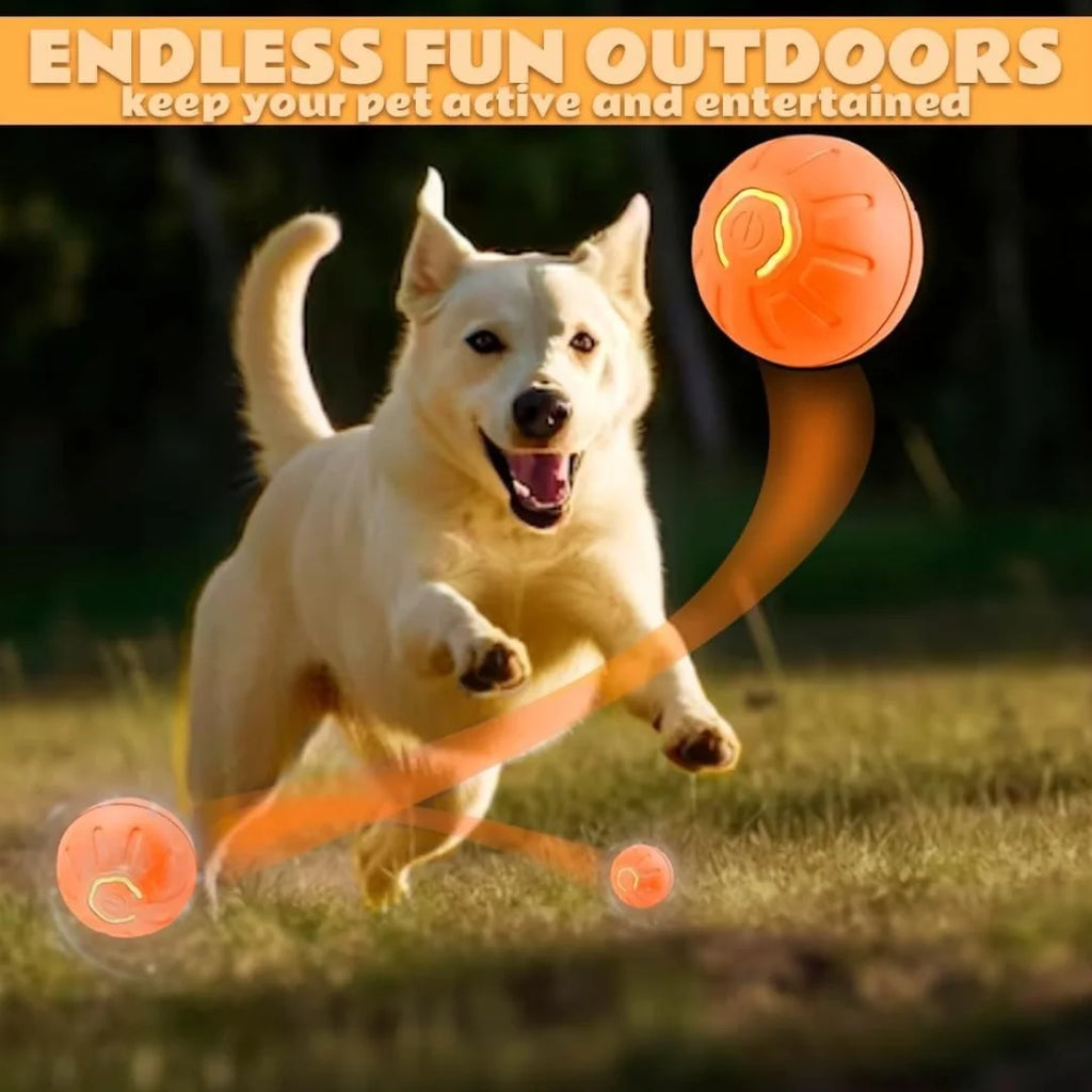 Balle rebondissante intelligente à gravité pour chat et chien - Jouet interactif
