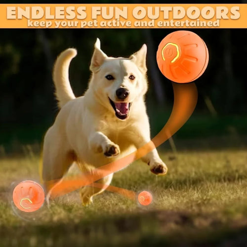 Balle rebondissante intelligente à gravité pour chat et chien - Jouet interactif