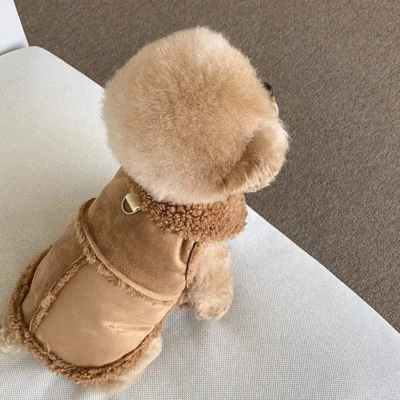 Pull chaud pour petit chien
