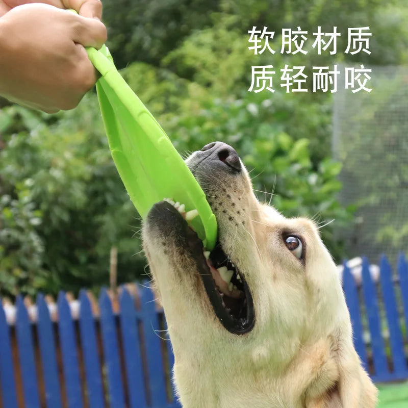 Frisbee résistant pour chien - Disque volant jeu et entraînement