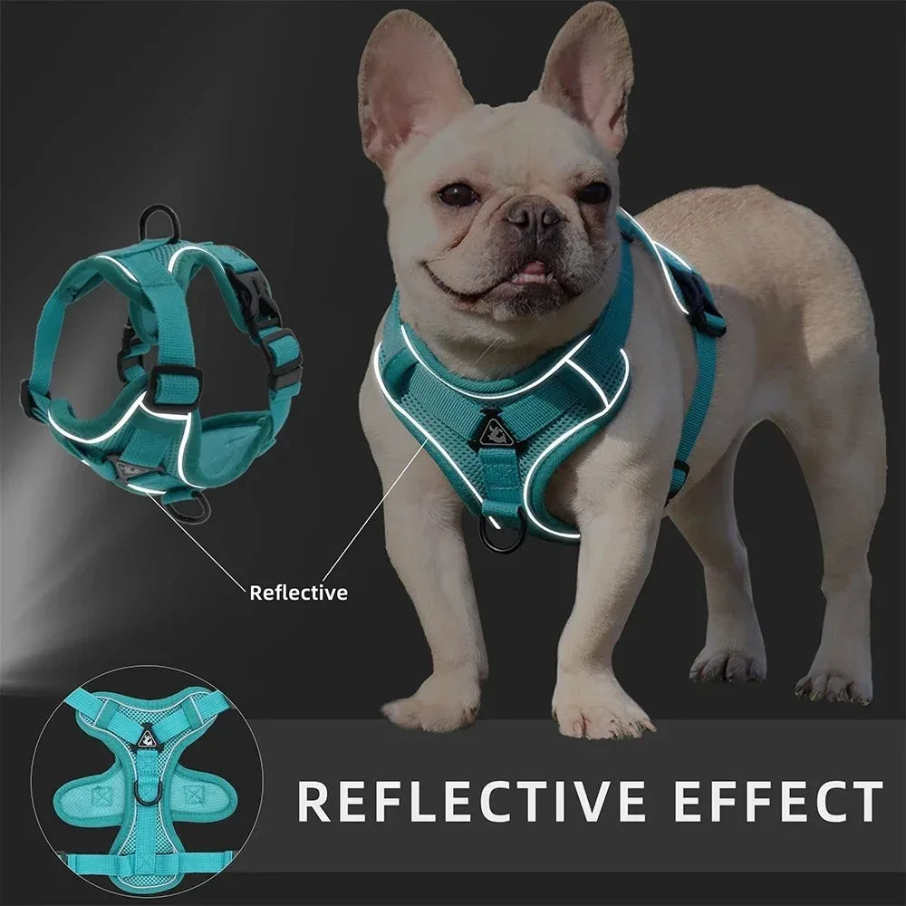 Harnais anti-traction pour chien avec laisse - Réglable et réfléchissant