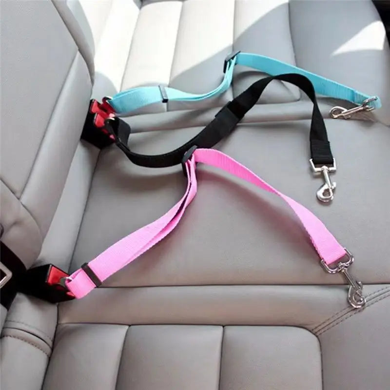 Ceinture de sécurité pour chien en voiture - MioumiouShop