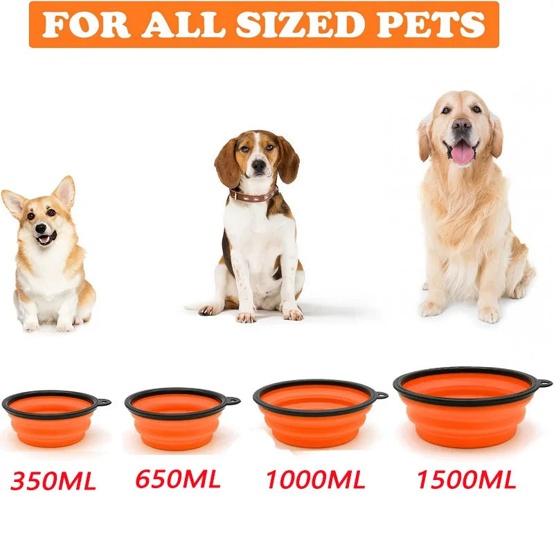 Gamelle pliable 2 en 1 pour chien et chat - Silicone avec mousqueton