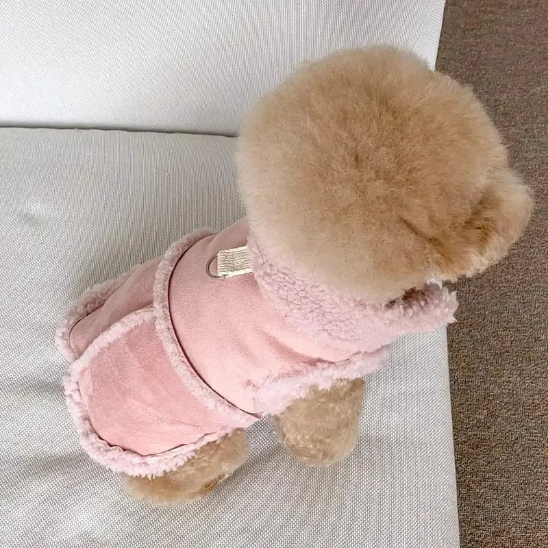 Pull chaud pour petit chien