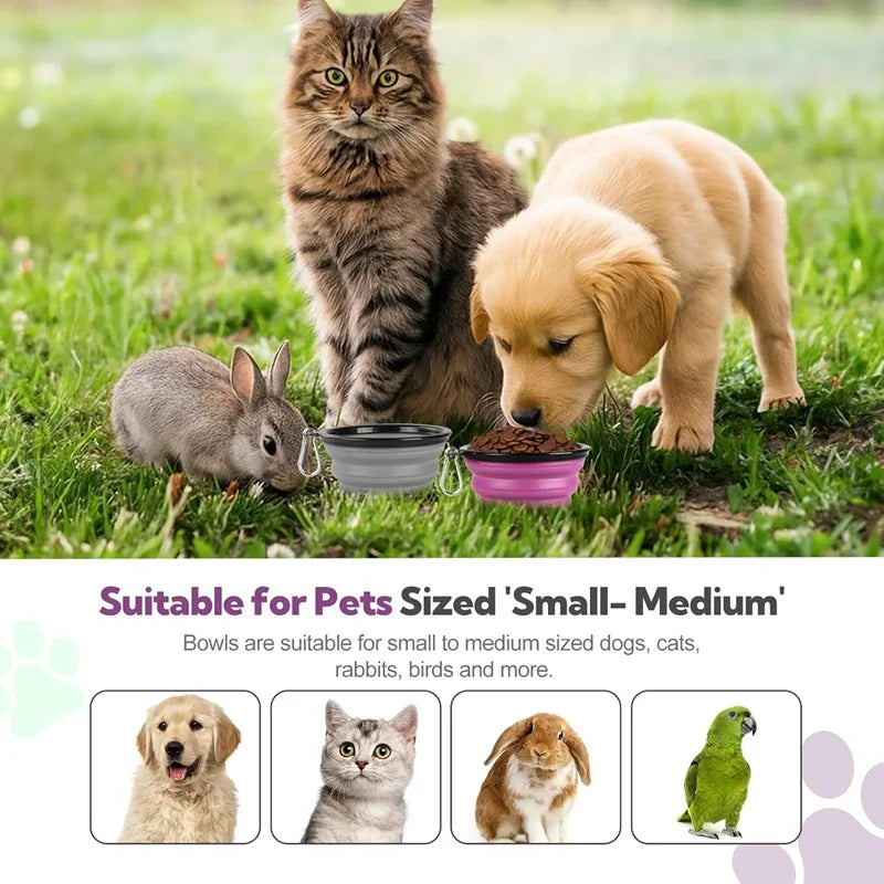 Gamelle pliable 2 en 1 pour chien et chat - Silicone avec mousqueton