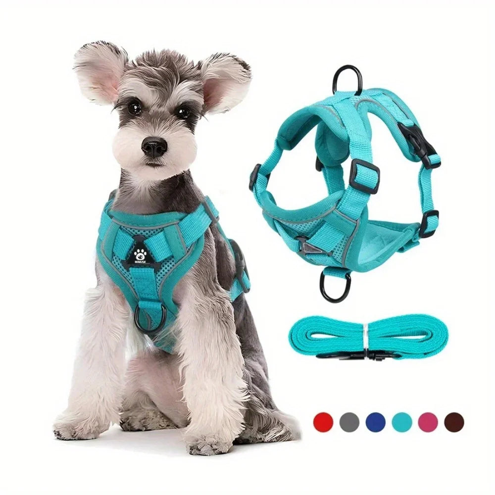 Harnais anti-traction pour chien avec laisse assortie