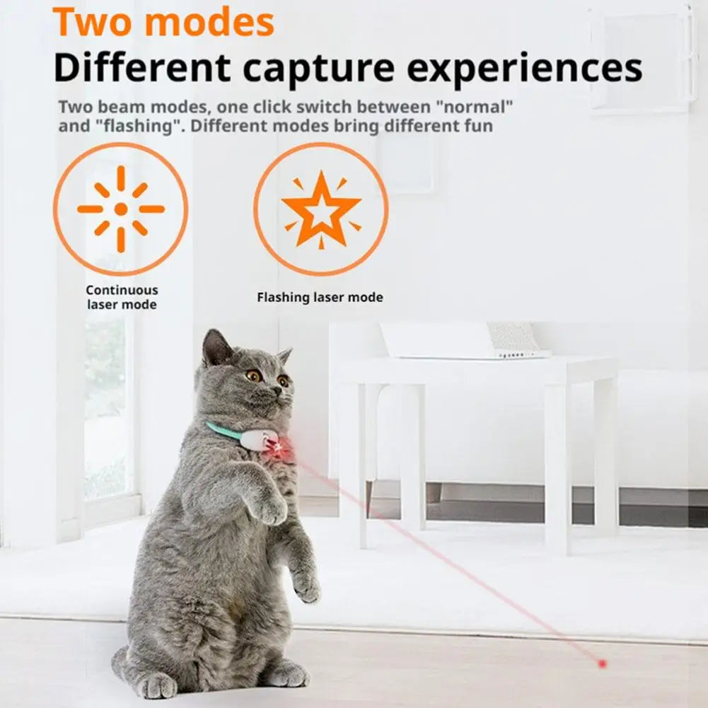 Collier laser interactif pour chat - Rechargeable USB-C