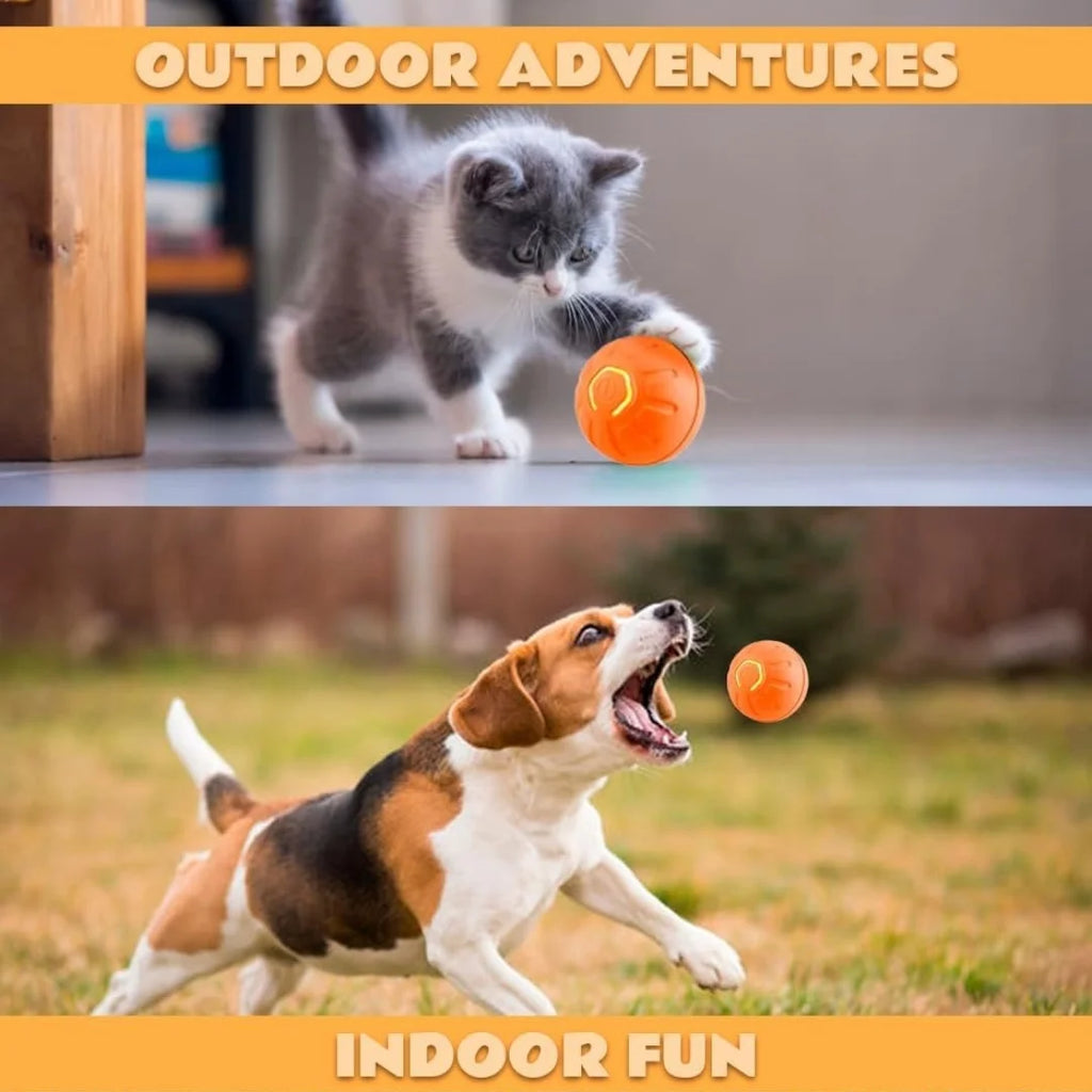 Balle rebondissante intelligente à gravité pour chat et chien - Jouet interactif