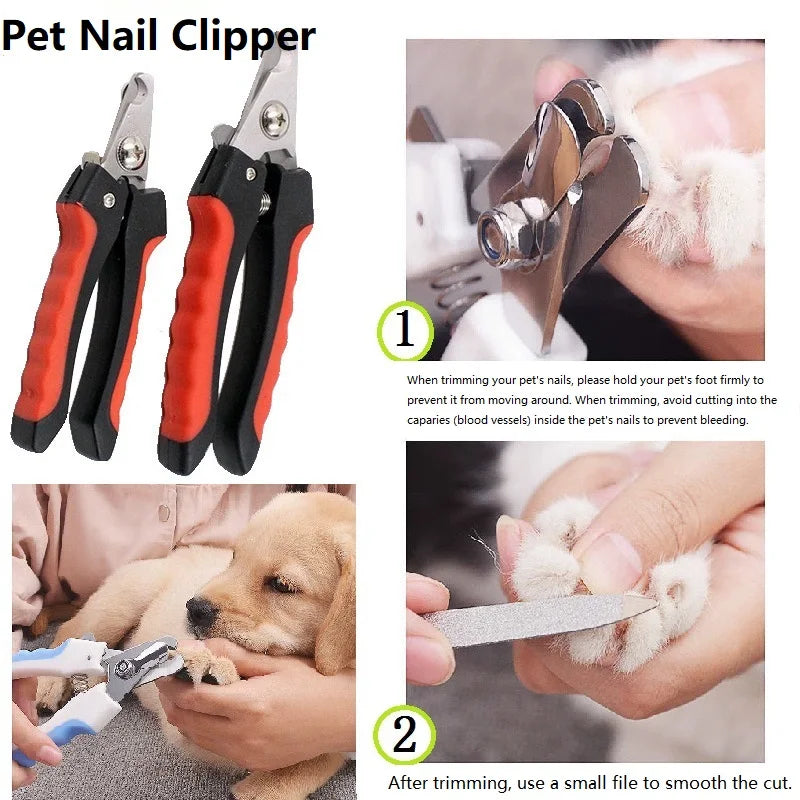 Coupe-griffes pour chat et chien - Ciseaux de précision en inox