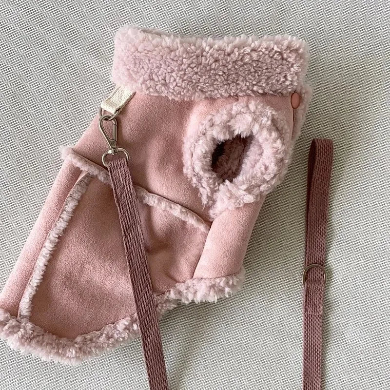 Pull chaud pour petit chien