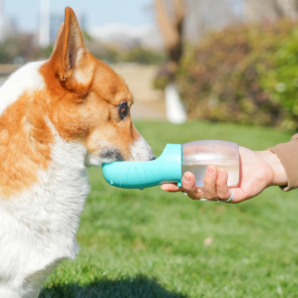 Gourde portable 300ml pour chien et chat - Distributeur d'eau nomade