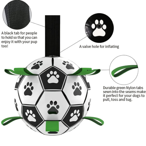 Ballon interactif pour chien