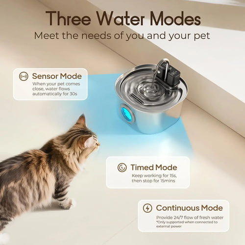 Fontaine à eau sans fil pour chat et chien
