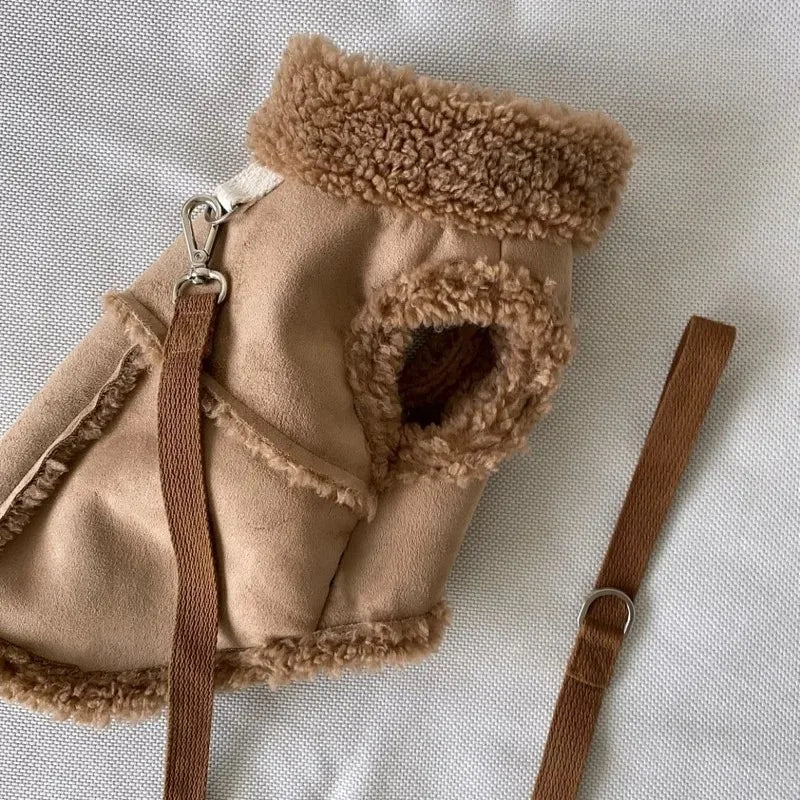 Pull chaud pour petit chien