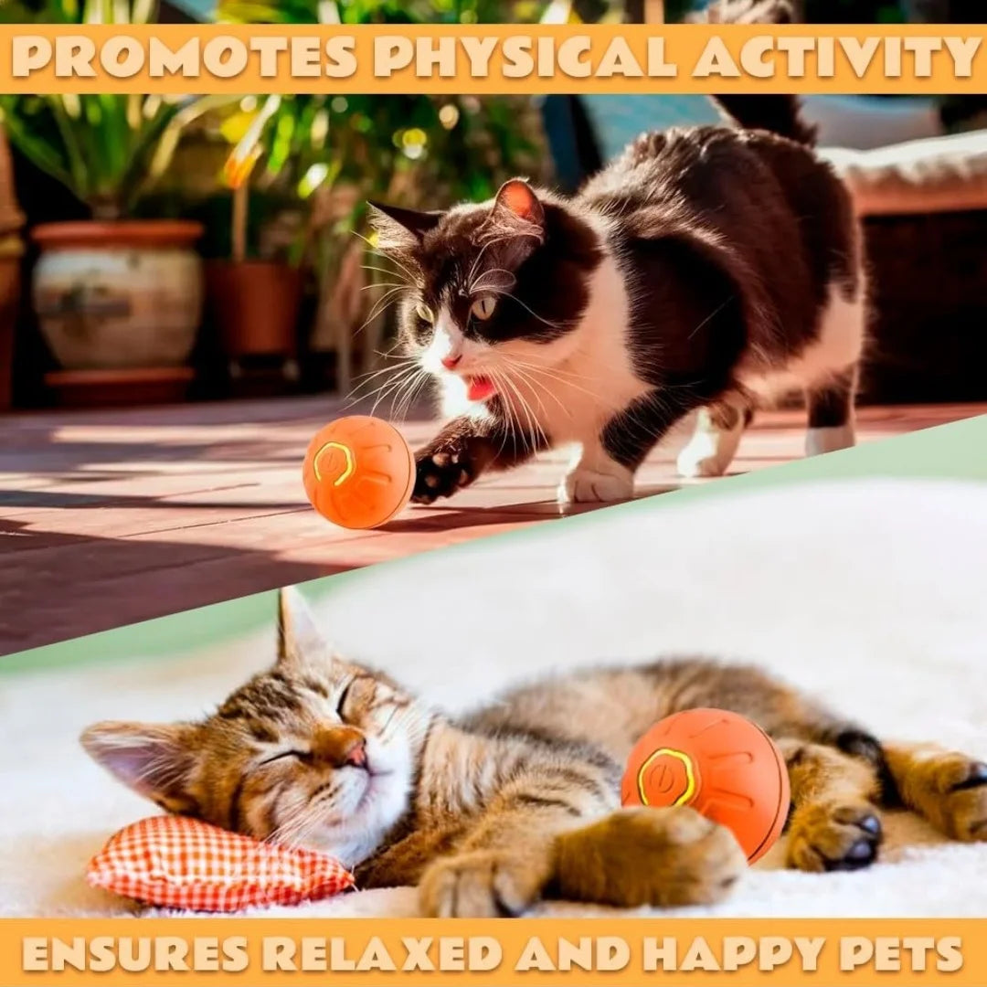 Balle rebondissante intelligente à gravité pour chat et chien - Jouet interactif