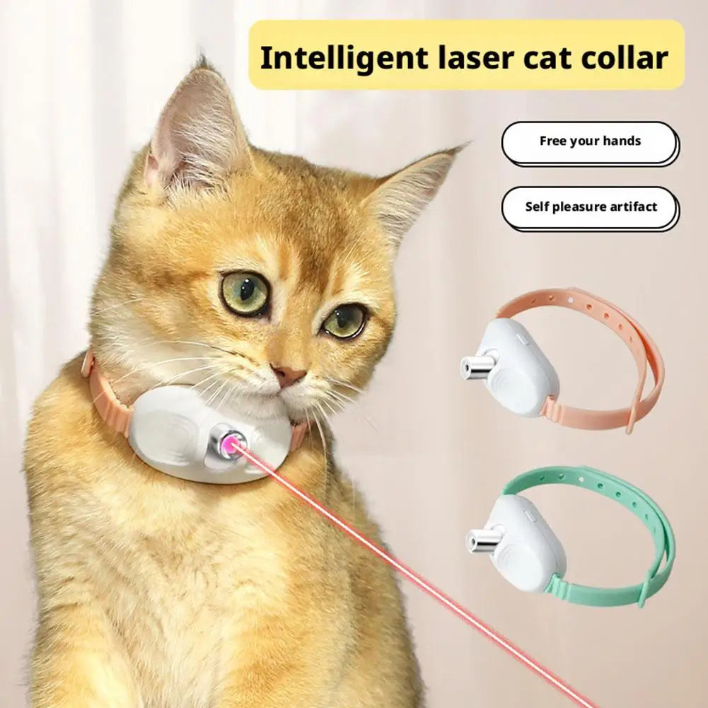 Collier laser interactif rechargeable pour chat MioumiouShop