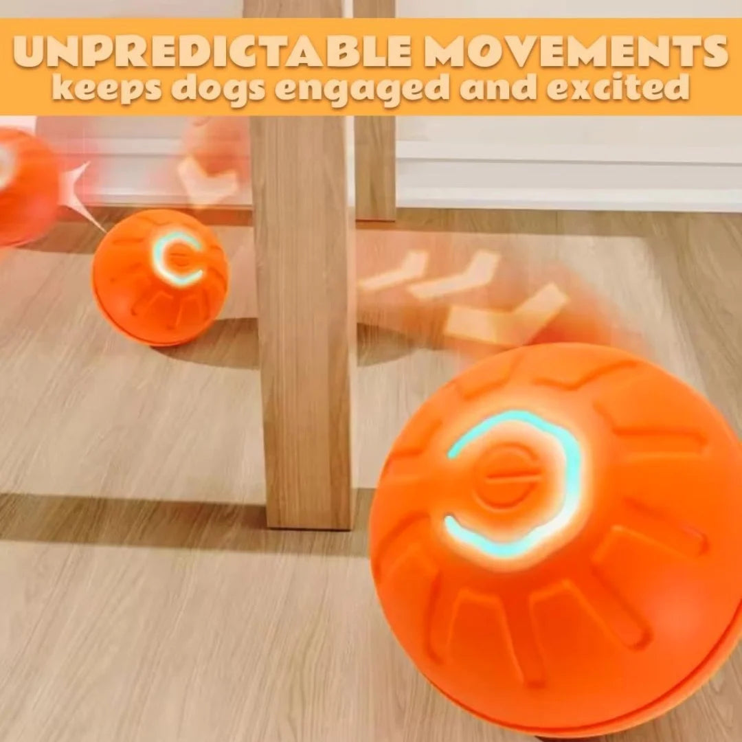 Balle rebondissante intelligente à gravité pour chat et chien - Jouet interactif