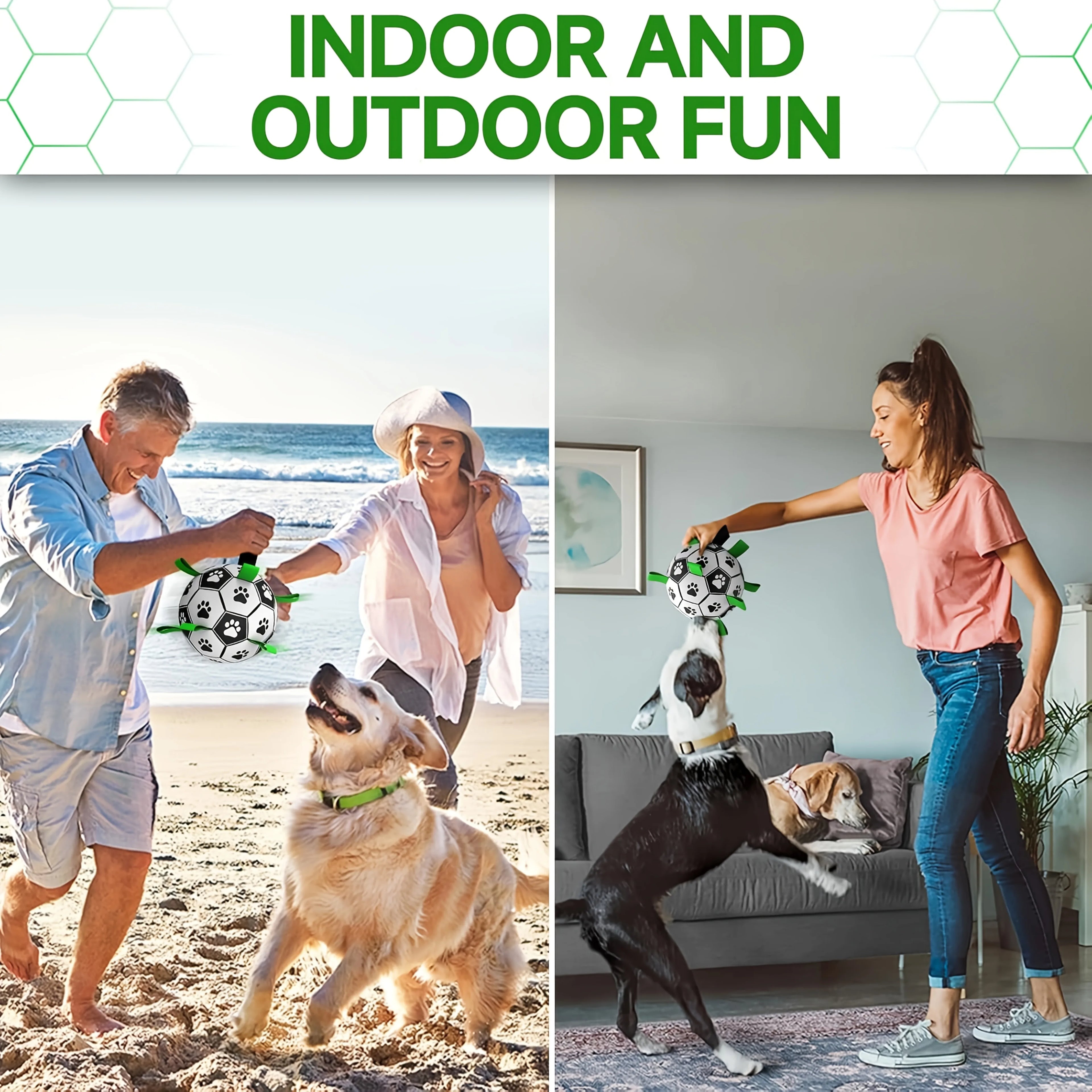 Ballon interactif pour chien