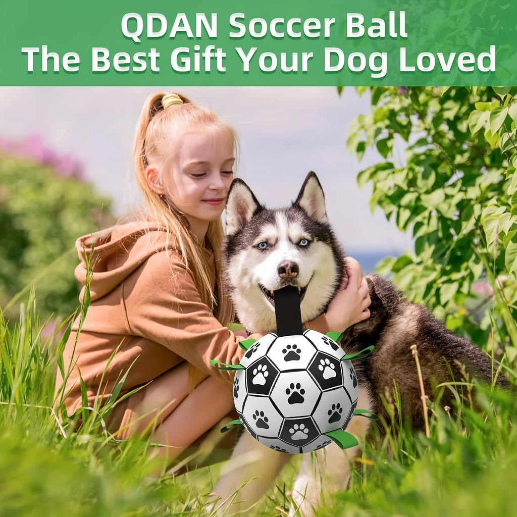 Ballon interactif pour chien