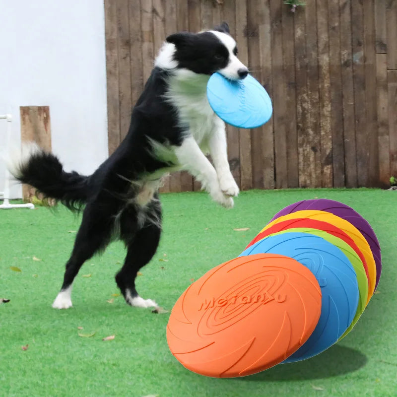 Frisbee résistant aux morsures pour chien, jeu d'extérieur