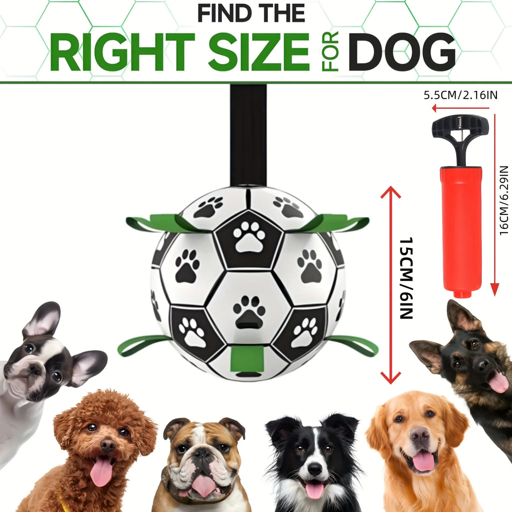 Ballon interactif pour chien
