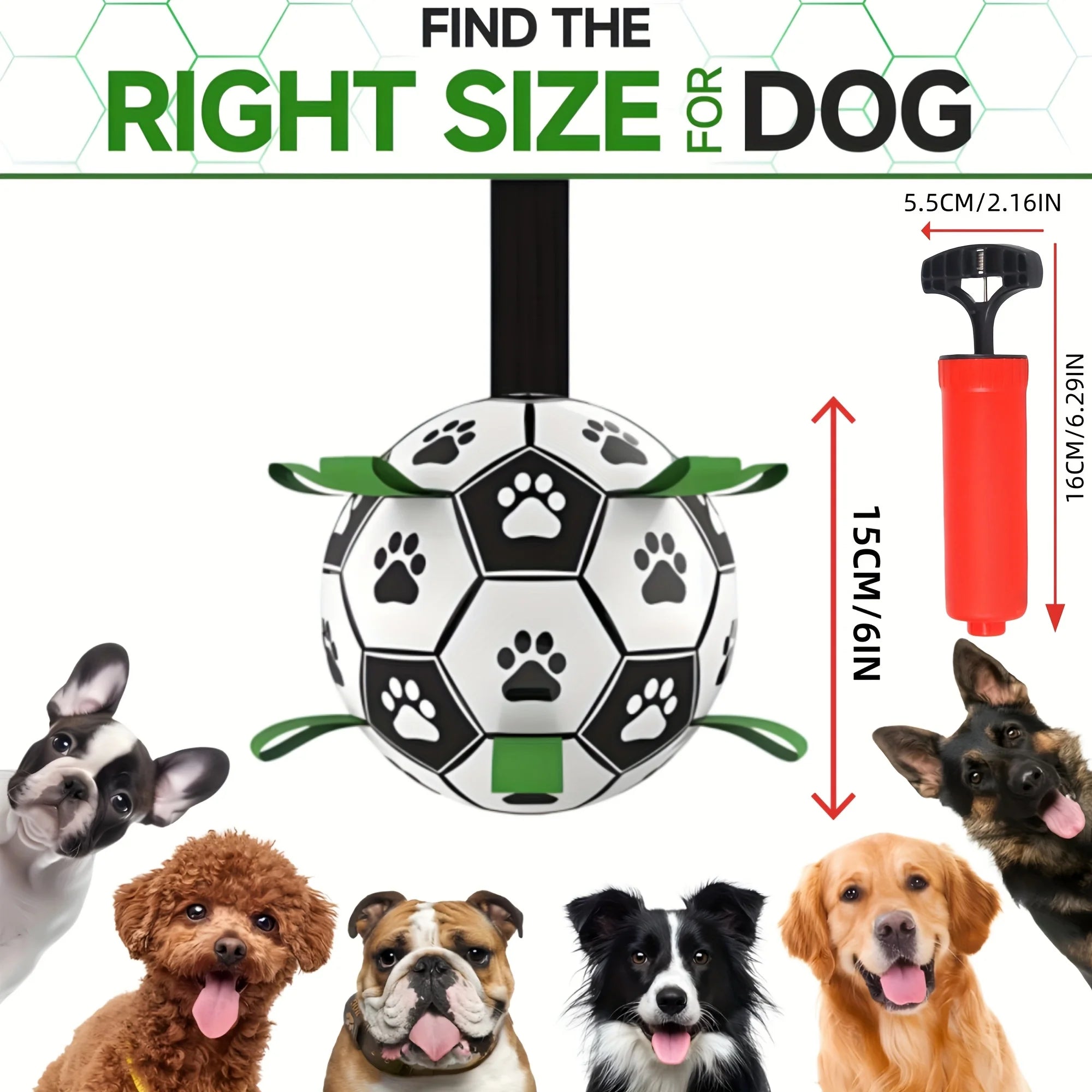 Ballon interactif pour chien