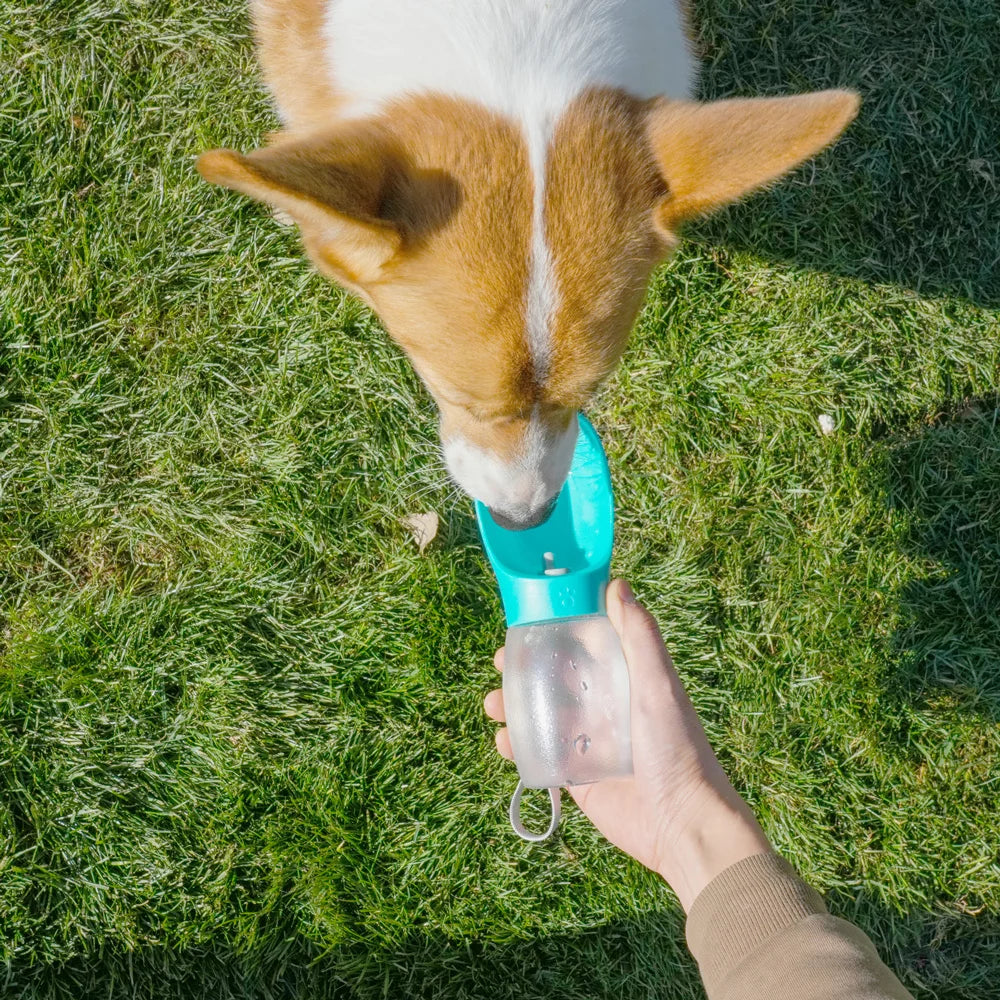 Gourde portable 300ml pour chien et chat - Distributeur d'eau nomade